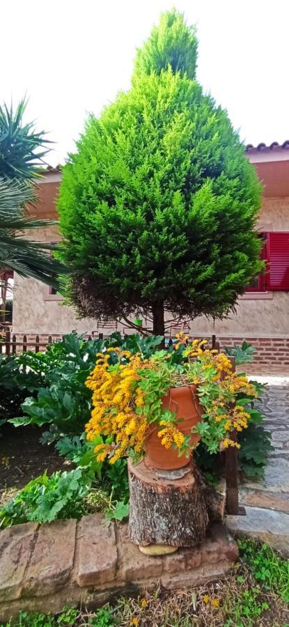 Mozart House Studio Amarynthos Dış mekan fotoğraf