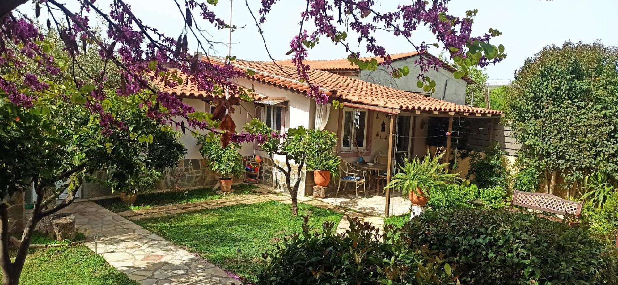 Mozart House Studio Amarynthos Dış mekan fotoğraf